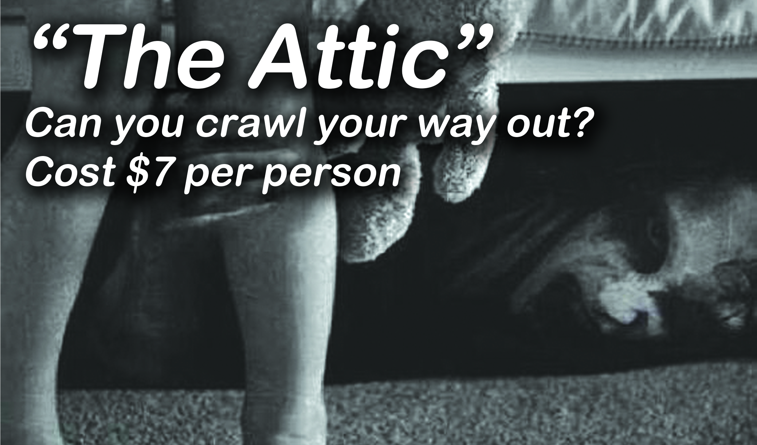 attic-banner