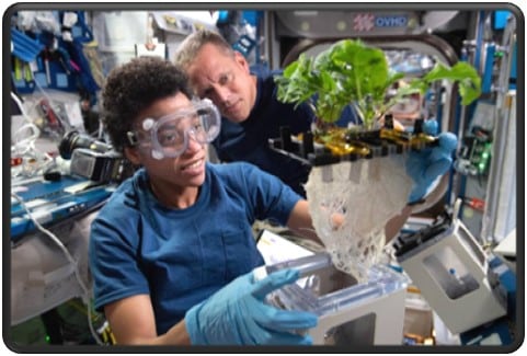 STEM Educator Workshop: NASA is Everywhere - Space Agriculture